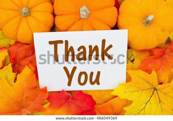 Thank You Message Some Fall Leaves Stock Photo (Edit Now) 486049369