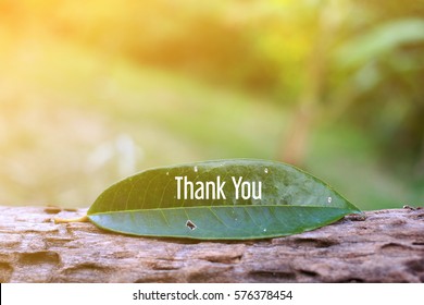 106,821 Thank you nature Images, Stock Photos & Vectors | Shutterstock