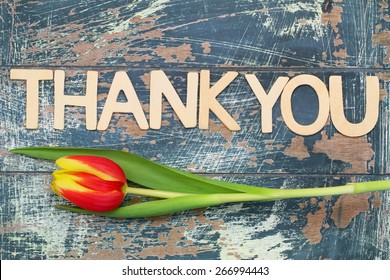 6,892 Thank you words written Images, Stock Photos & Vectors | Shutterstock