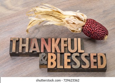 Thankful And Blessed - Thanksgiving Theme - Word Abstract In Vintage Letterpress Wood Type With An Ear Of Decorative Strawberry Corn