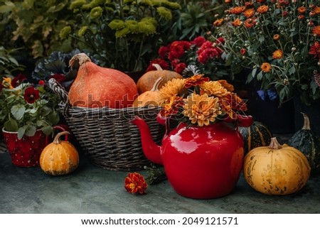 Thanksgiving autumn decor in garden