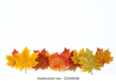 Thanksgiving Autumn Leaves Background On White