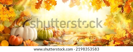 Thanksgiving or autumn scene with pumpkins, autumn leaves and berries on wooden table.  Autumn background with copy space. Banner