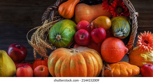 Thanksgiving Autumn Still Life. Pumpkins, Winter Squash, Apples, Ears Of Wheat, Nuts, And Flowers Spill Out Of A Wicker Basket In Fall. Rich Harvest Beautiful Picture For A Calendar, Postcard, Poster