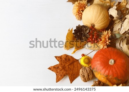 Thanksgiving background. Pumpkins, fall leaves and flowers, berries and pine cones on white wood background, flat lay with space for text. Autumn banner. Fall harvest