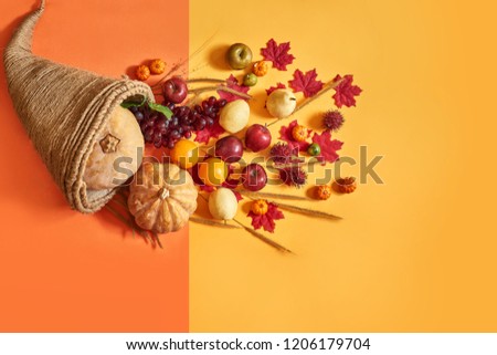 Thanksgiving cornucopia fill in fruit isolated on orange color background in autumn and fall harvest season