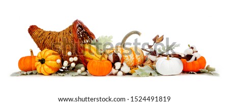 Thanksgiving cornucopia filled with autumn vegetables, pumpkins and fall decor isolated on a white background