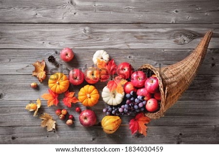 Thanksgiving cornucopia filled with pumpkins, apples, grapes and leaves on a rustic wooden background 