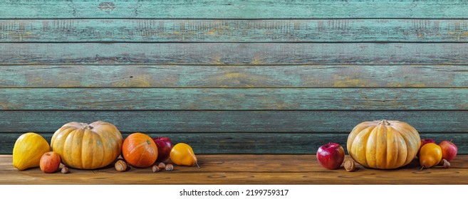 Thanksgiving Day Background With Empty Copy Space On A Wooden Wall. Pumpkin Harvest, Squash, Orange Vegetable Autumn Fruit, Apples, And Nuts On A Wooden Table. Halloween Decoration Fall Design.