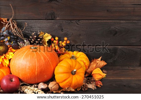 Thanksgiving - different pumpkins with nuts, berries and grain in front of wooden boards