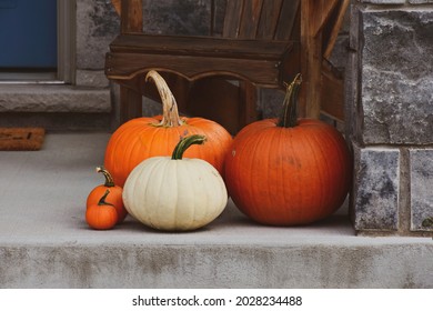 A thanksgiving display of white and orange pumpkins in various sizes.