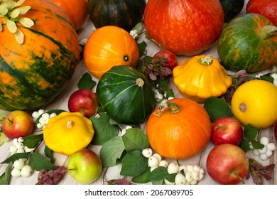 Thanksgiving Fall Rustic Centerpiece With Pumpkins, Seeds, Yellow, Green Squashes And Gourds, Snowberry, Leaves On The White Wooden Background