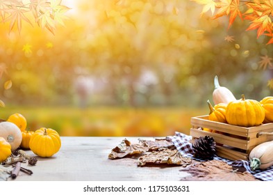Thanksgiving with fruit and vegetable on wood in autumn and Fall harvest cornucopia season - Shutterstock ID 1175103631