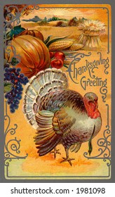 ''Thanksgiving Greeting'' - an ornate vintage illustration showing a bountiful harvest with a tom turkey - circa 1910