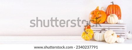 Thanksgiving, Halloween fall autumn season holiday background with colorful pumpkins. Stack of white, orange, golden, black painted pumpkins with autumn and Halloween party decor top view copy space