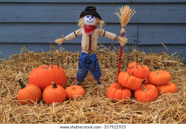 Thanksgiving Harvest Autumn Decoration Scarecrow Guarding Stock Photo ...