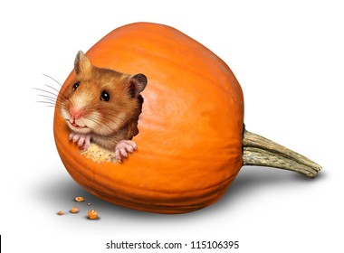 Thanksgiving harvest symbol with a fun pet hamster inside a hole of an eaten pumpkin on a white background as a concept of giving thanks for the abundance of fresh produce and autumn crops.