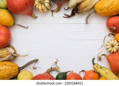 Thanksgiving Holiday Background With Decorative Frame Of Pumpkin Harvest, Winter Squash And Corncobs On White Wooden Table