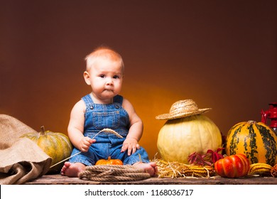 Thanksgiving Holiday, Cute Baby With The Crop