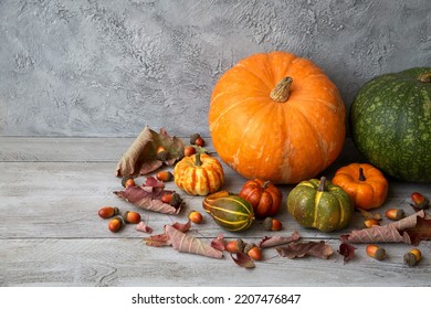 Thanksgiving Home Decor. Pumpkins, Oak Leaves And Acorns On A Light Wooden Table With Copy Space.