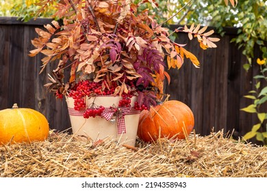 Thanksgiving Home Decor Using Pumpkins, Dry Herbs And Flowers.