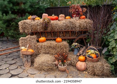 Thanksgiving Home Decor Using Pumpkins, Dry Herbs And Flowers.