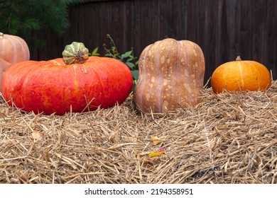 Thanksgiving Home Decor Using Pumpkins, Dry Herbs And Flowers.