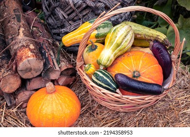 Thanksgiving Home Decor Using Pumpkins, Dry Herbs And Flowers.