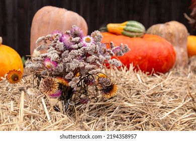 Thanksgiving Home Decor Using Pumpkins, Dry Herbs And Flowers.