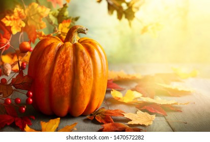 Thanksgiving orange pumpkins, autumn leaves and berries on wooden table.  Autumn background banner with falling leaves. - Powered by Shutterstock