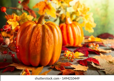 Thanksgiving orange pumpkins, autumn leaves and berries on wooden table.  Autumn background banner with falling leaves. - Powered by Shutterstock