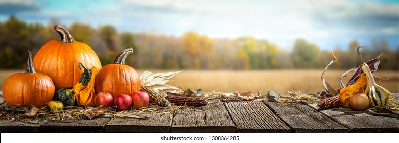 Thanksgiving With Pumpkins Apples And Corncobs On Wooden Table With Field Trees And Sky In Background	 - Powered by Shutterstock