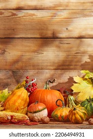 Thanksgiving pumpkins on wooden background - Shutterstock ID 2206494931
