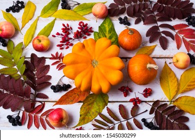 Thanksgiving Rustic Decor With Pumpkin, Apple, Red And Black Berries, Fall Leaves On The White Painted Wooden Background