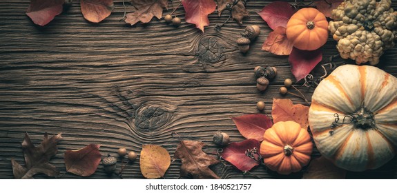 Thanksgiving - Rustic Harvest Table Background Decorated With Pumpkins Acorns And Leaves 