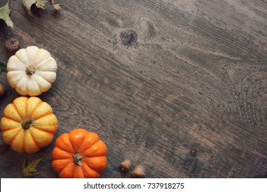 Thanksgiving Season Still Life With Colorful Small Pumpkins, Acorns, Fall Leaves Over Rustic Wood Background