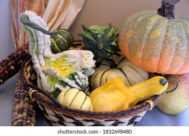 Thanksgiving still life of gourds in a basket