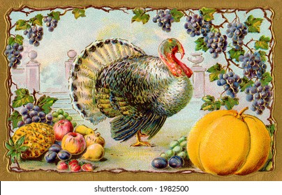 Thanksgiving turkey, bountiful harvest, surrounded by grapes & gilded gold frame - an ornate vintage illustration - circa 1910