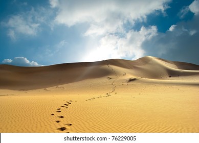 Thar Desert In India