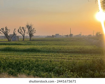 It’s that magical time—the golden hour—when everything glows with ethereal radiance. The leaves catch fire, their edges kissed by sunlight. Dewdrops on spiderwebs become glistening jewels. - Powered by Shutterstock