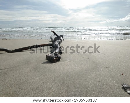 Similar – Child and dog by the sea