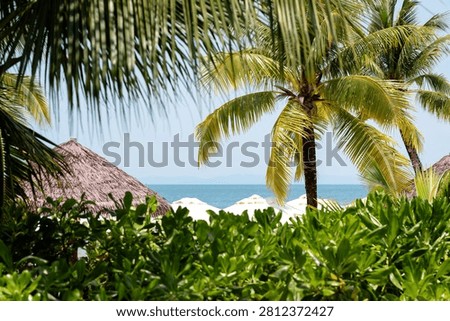 Thatched beach huts and tall palms overlooking calm turquoise sea in sunny Phu Quoc