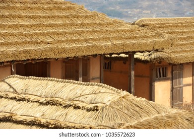 Thatched House Roof