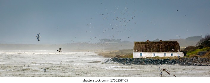 Thatched Irish Seaside Cottage In Storm