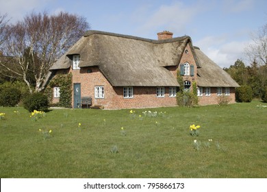 Thatched Roof House