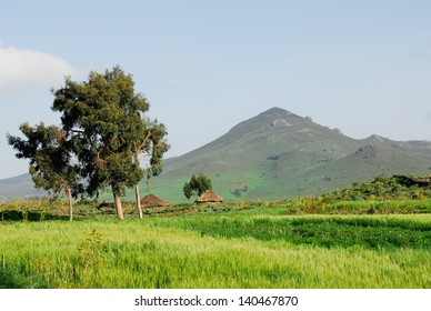 Thatched Roof Huts, Ethiopian Highlands