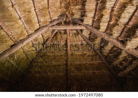 Thatched roof in an old Ukrainian traditional hut
