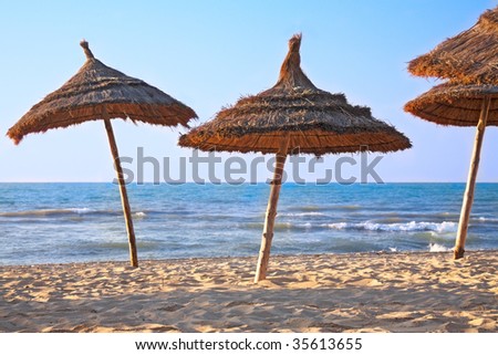 Sunshades on the beach