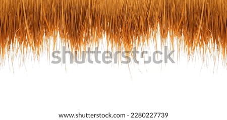 Thatching straw roof, from dry grass isolated on white background, of the bar on the beach during the holiday season.with clipping path 