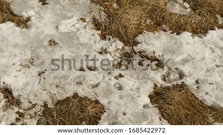 Thaw in the snow - background image